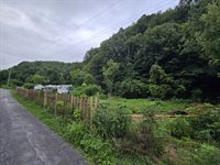 1023 Baysinger Rd, Parrottsville, TN 37843