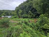 1023 Baysinger Rd, Parrottsville, TN 37843