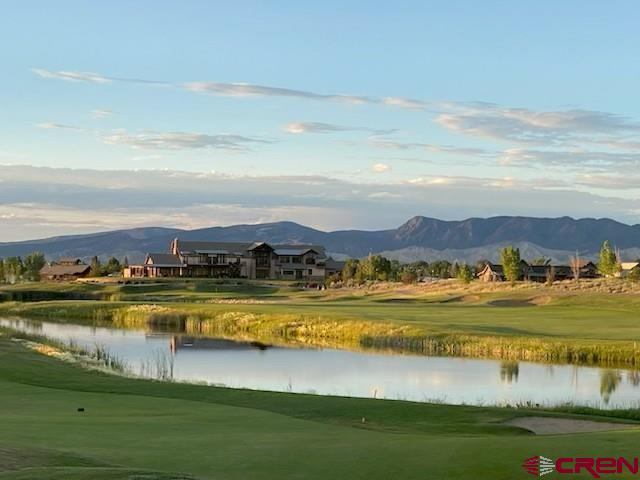 3029 Sleeping Bear Drive, Montrose, CO 81401