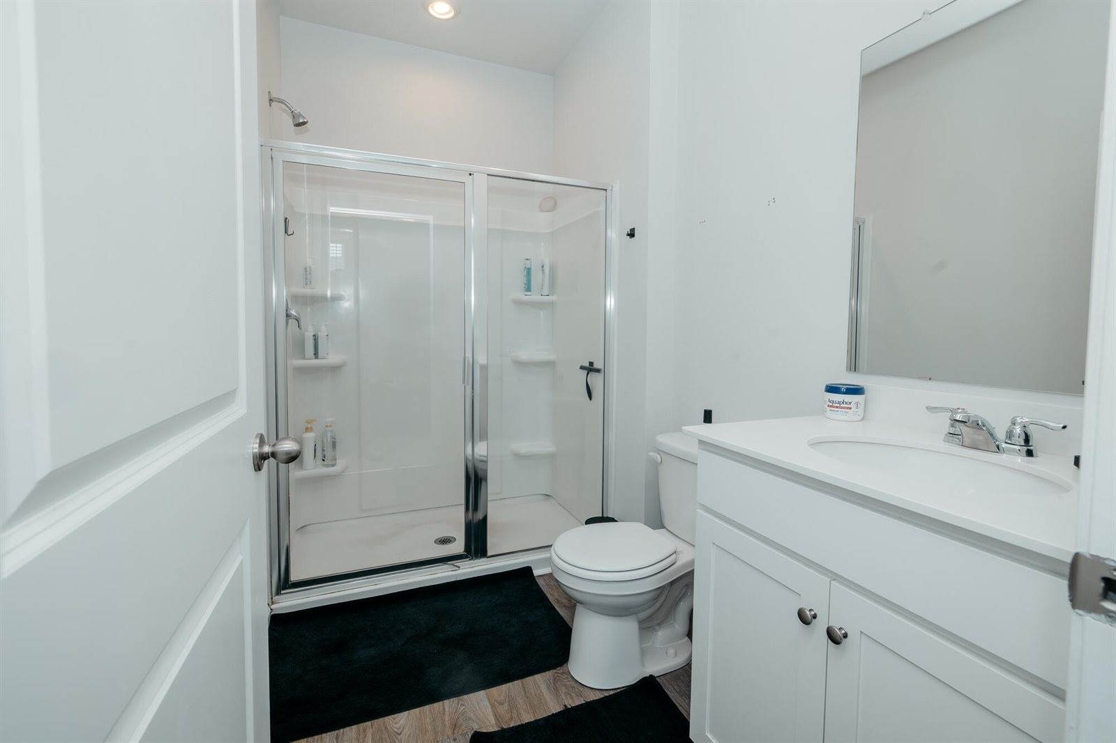 206 Mica Court, Ladson, SC 29456