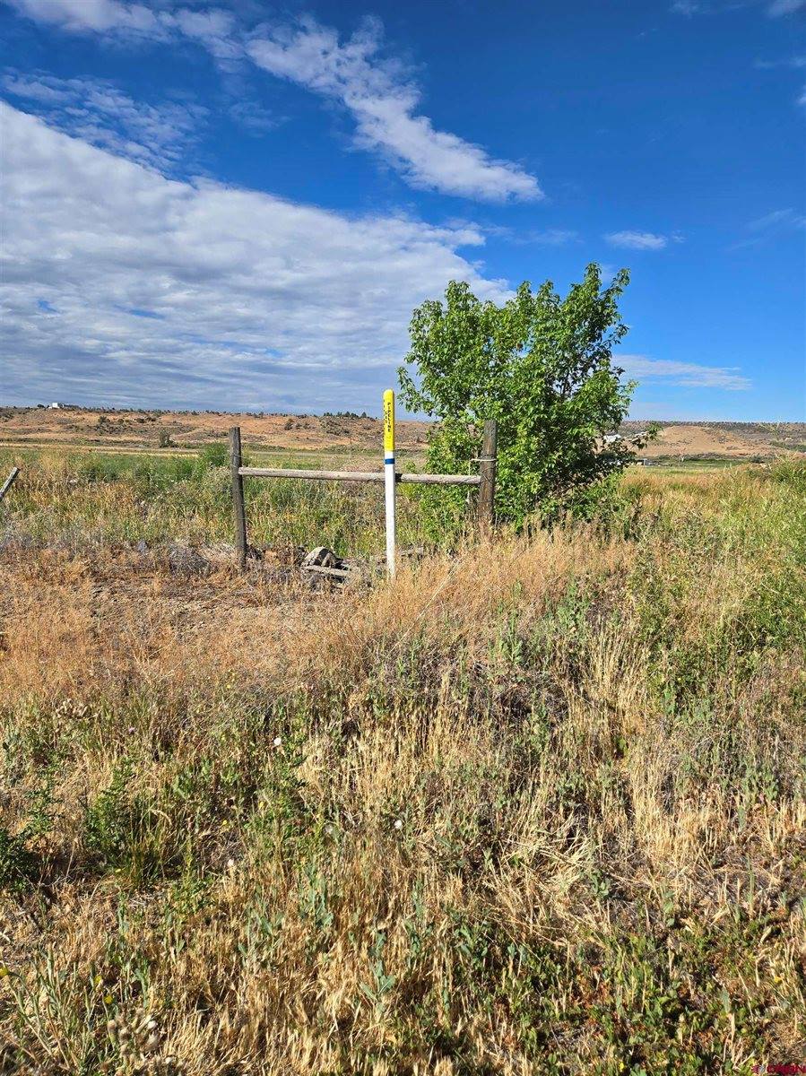 TBD Rose Rd, Montrose, CO 81403