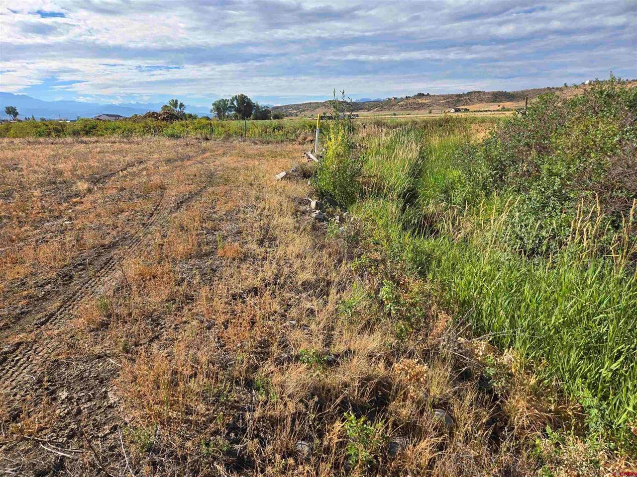TBD Rose Rd, Montrose, CO 81403
