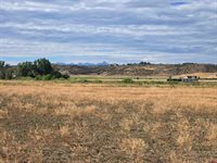 TBD Rose Rd, Montrose, CO 81403