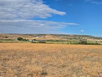 TBD Rose Rd, Montrose, CO 81403