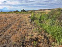 TBD Rose Rd, Montrose, CO 81403