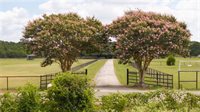 3434 Fazzino Lane, Bryan, TX 77807