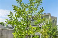 143 Maple Street, Bangor, ME 04401