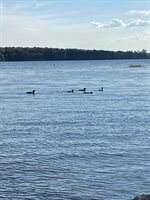 151 Frenchs Rock Road, Hartland, ME 04943