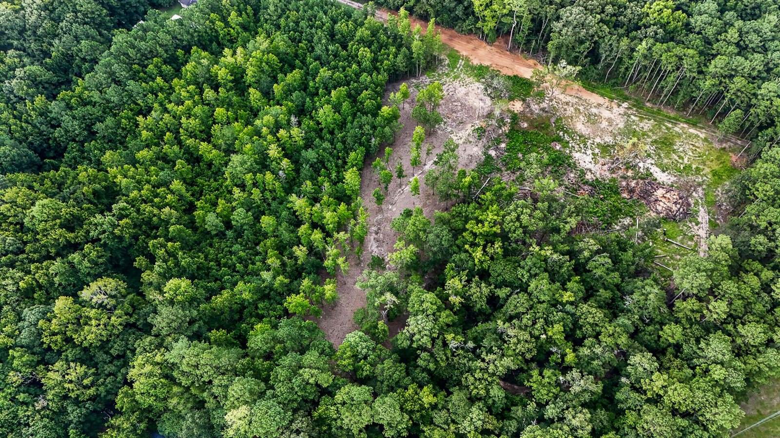 0 Victoria Road, Summerville, SC 29483