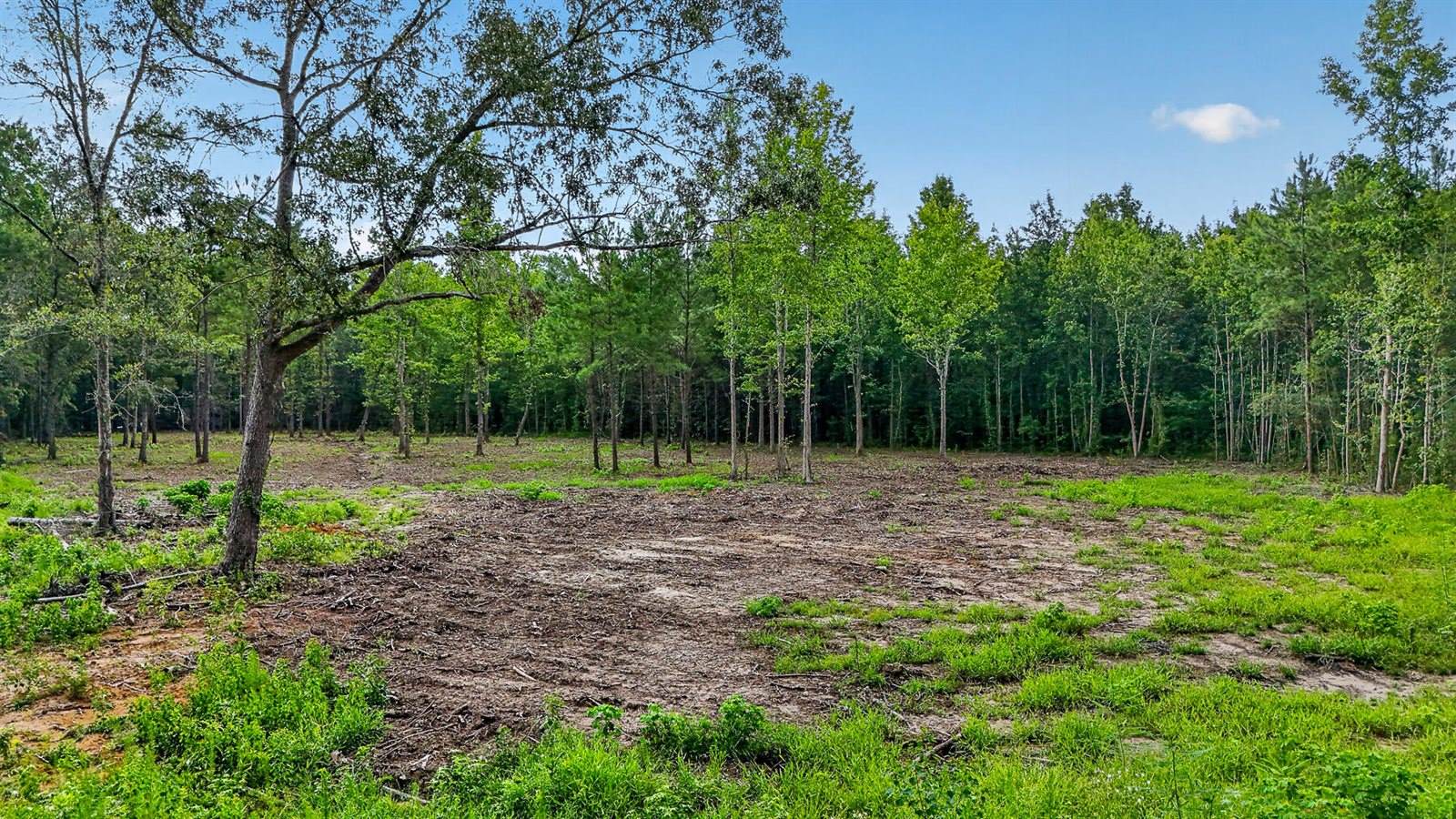 0 Victoria Road, Summerville, SC 29483