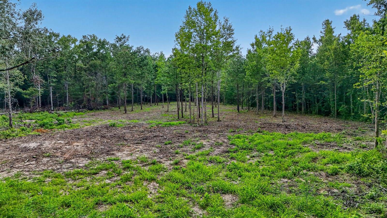 0 Victoria Road, Summerville, SC 29483