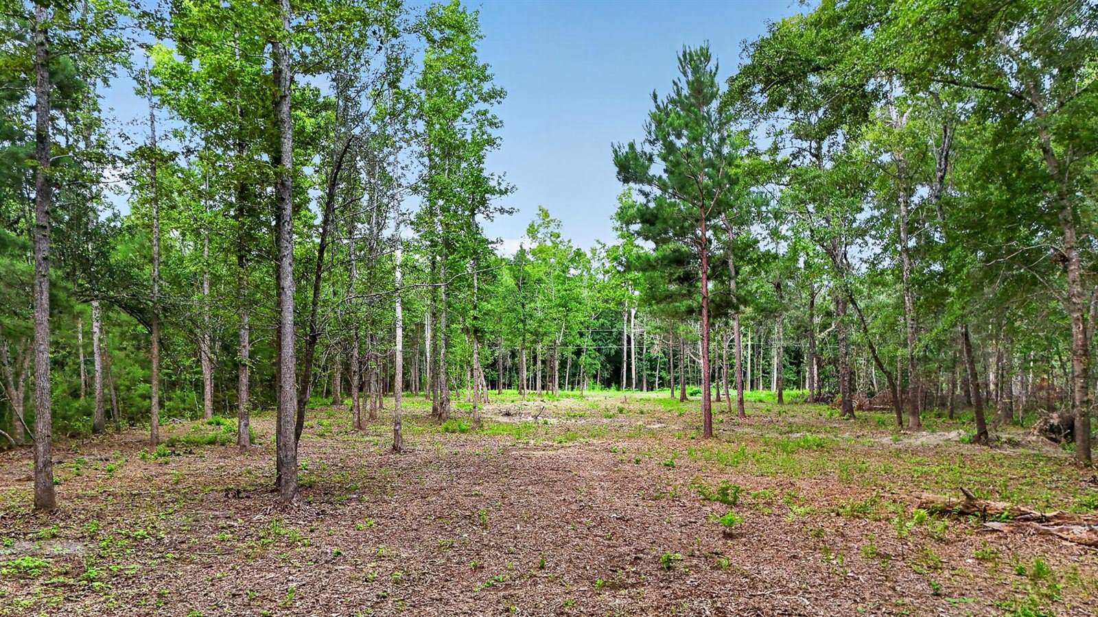 0 Victoria Road, Summerville, SC 29483