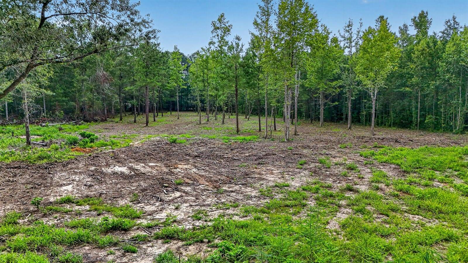 0 Victoria Road, Summerville, SC 29483