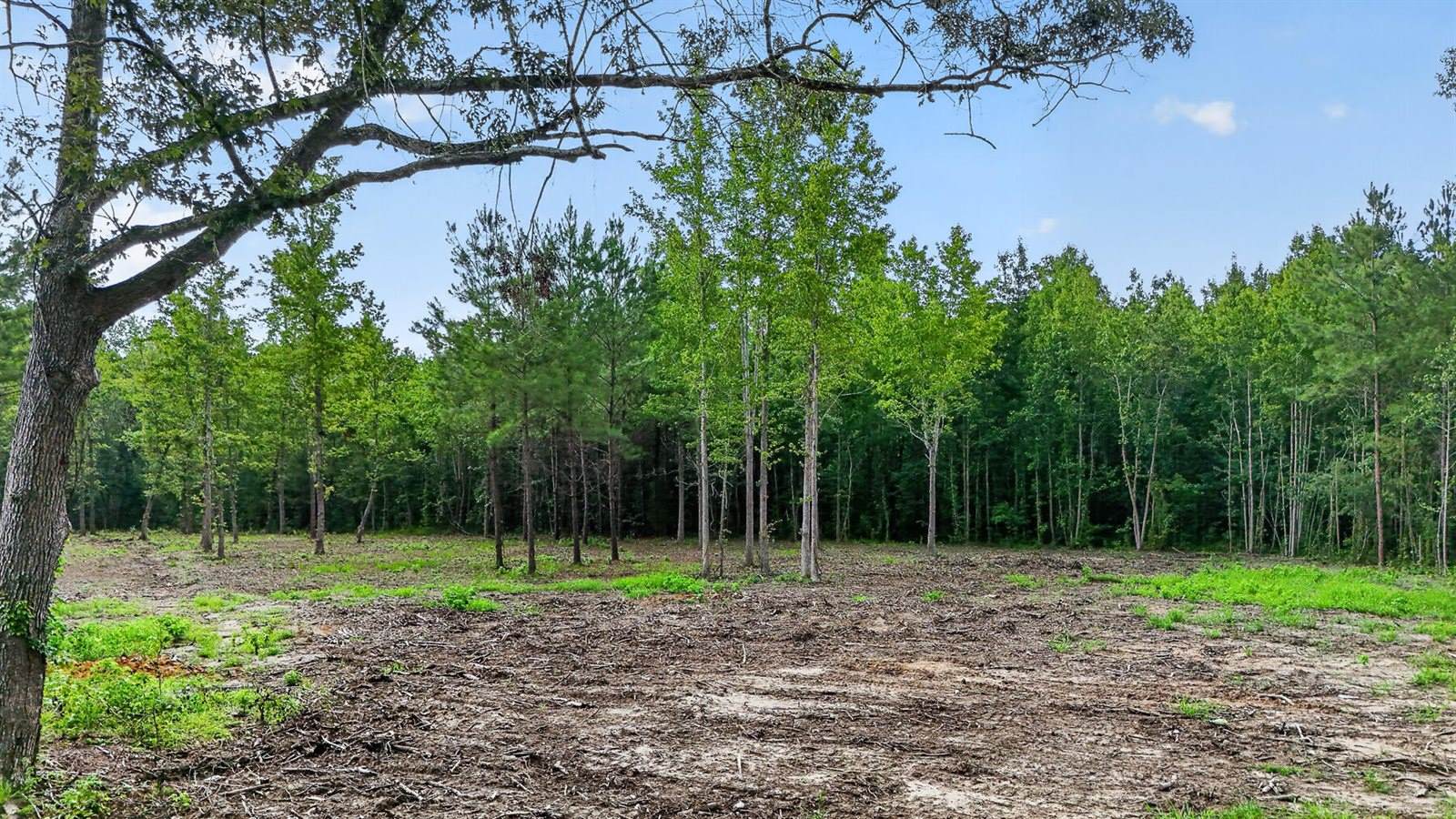 0 Victoria Road, Summerville, SC 29483