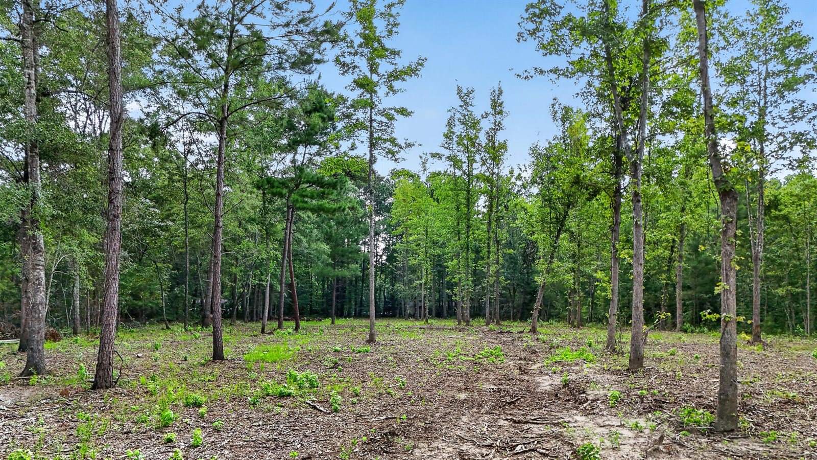 0 Victoria Road, Summerville, SC 29483