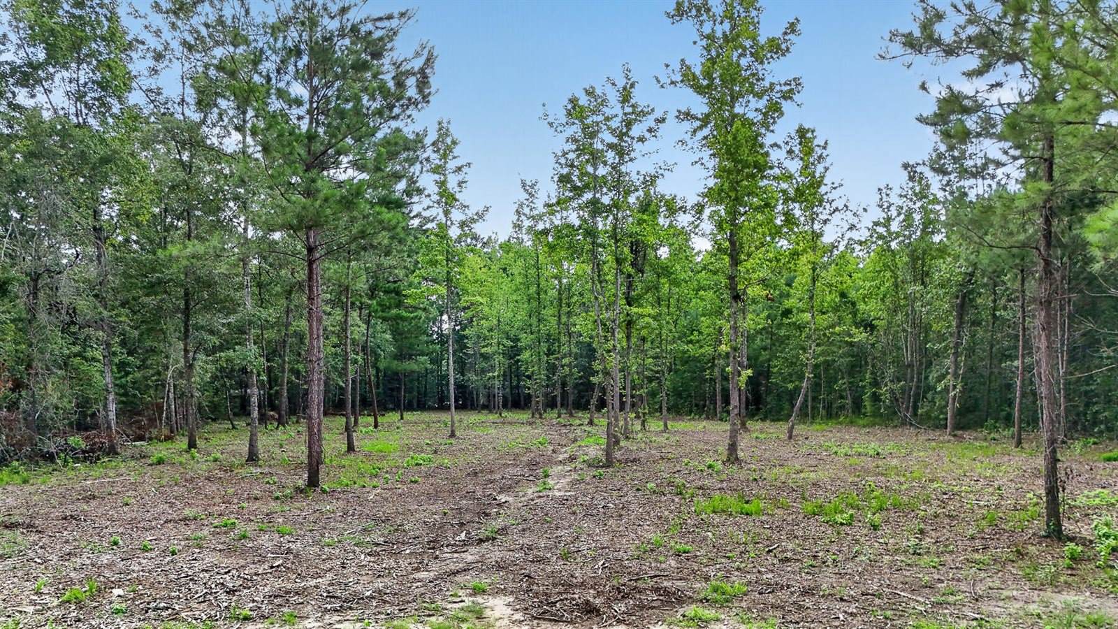 0 Victoria Road, Summerville, SC 29483