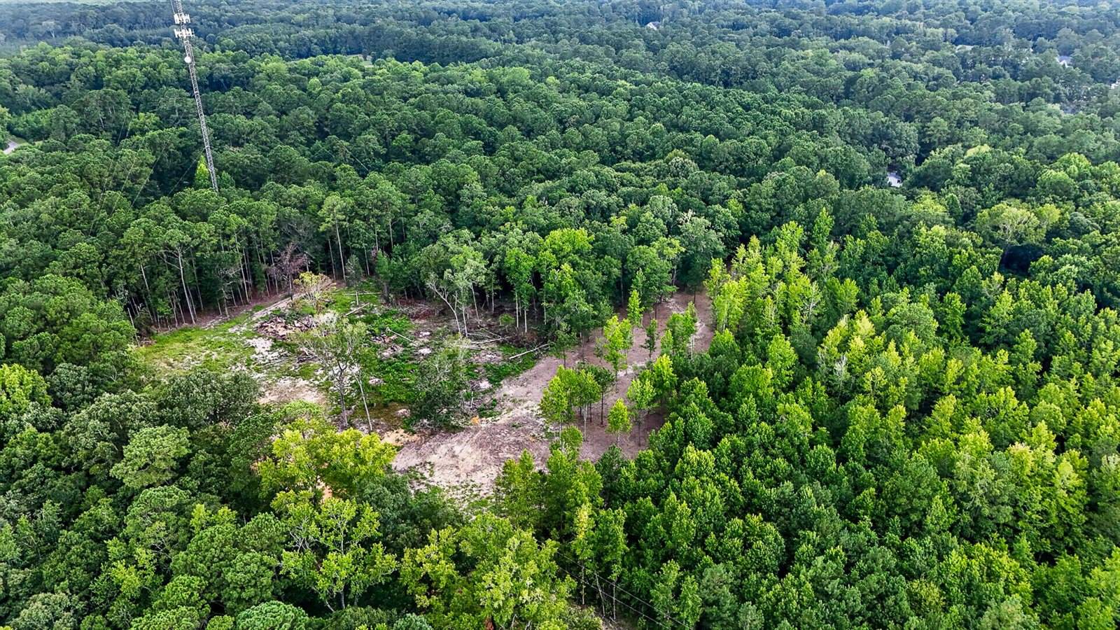 0 Victoria Road, Summerville, SC 29483