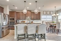 117 Mockingbird Hill Drive, Joshua, TX 76058