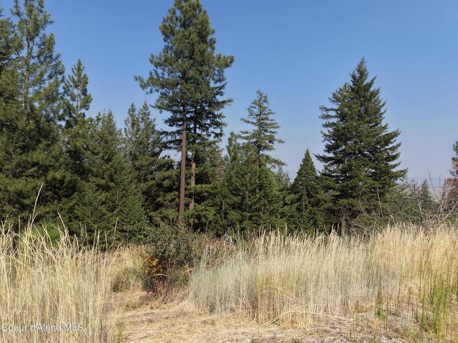 Lot 20 Spiral Ridge, Rathdrum, ID 83858
