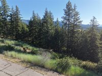 Lot 20 Spiral Ridge, Rathdrum, ID 83858