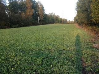 TBD Silver Creek Rd., Kettle River, MN 55757