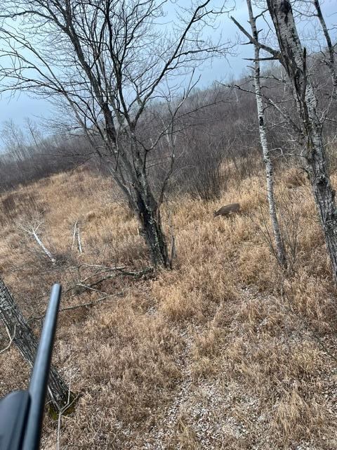 TBD Silver Creek Rd., Kettle River, MN 55757