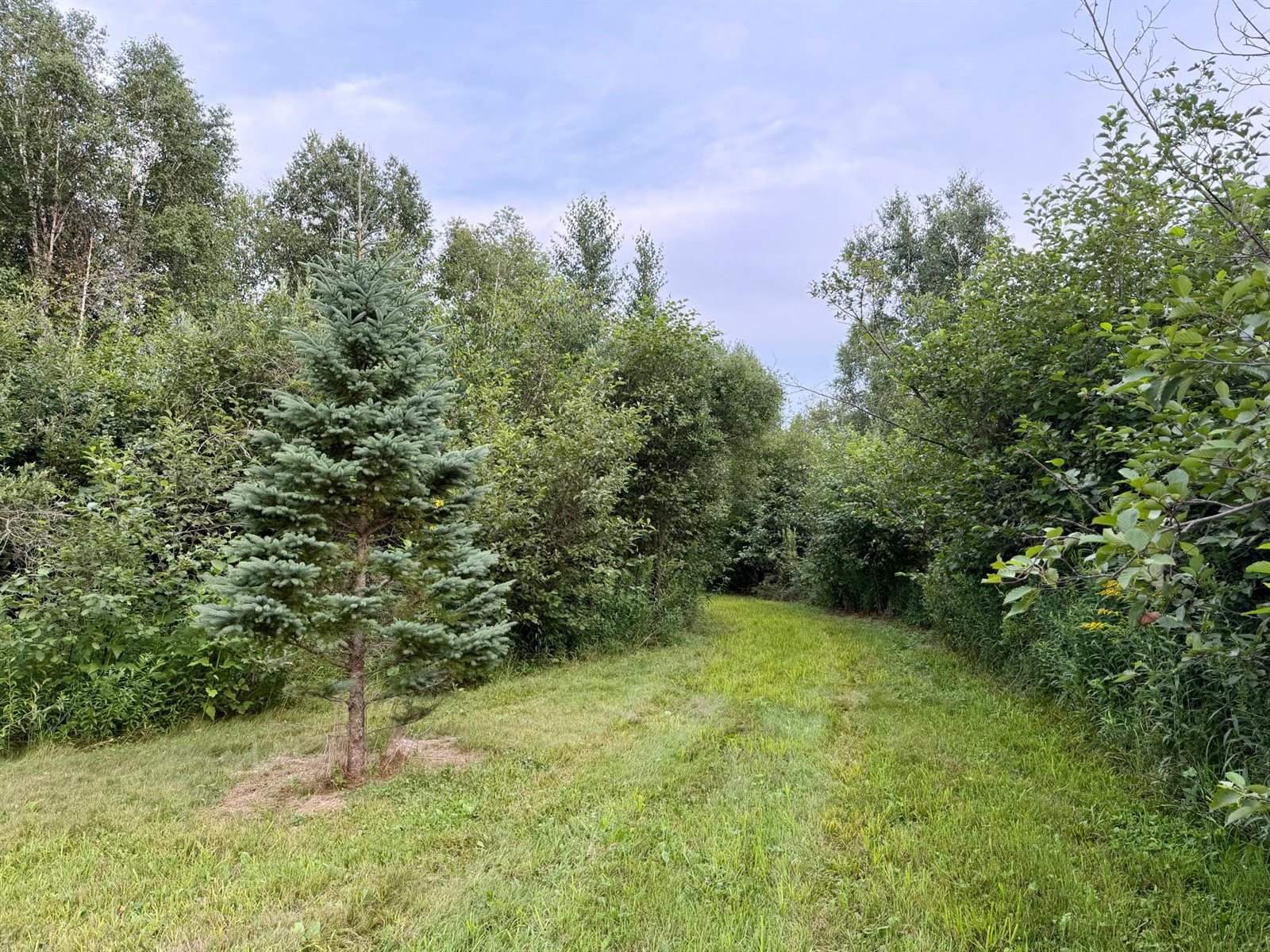 TBD Silver Creek Rd., Kettle River, MN 55757