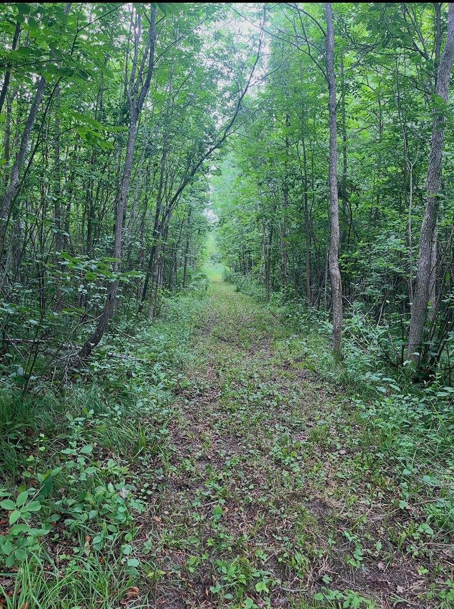 TBD Silver Creek Rd., Kettle River, MN 55757