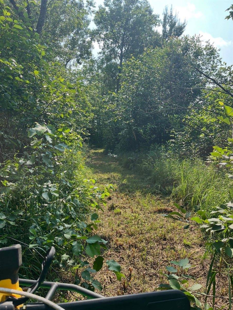 TBD Silver Creek Rd., Kettle River, MN 55757
