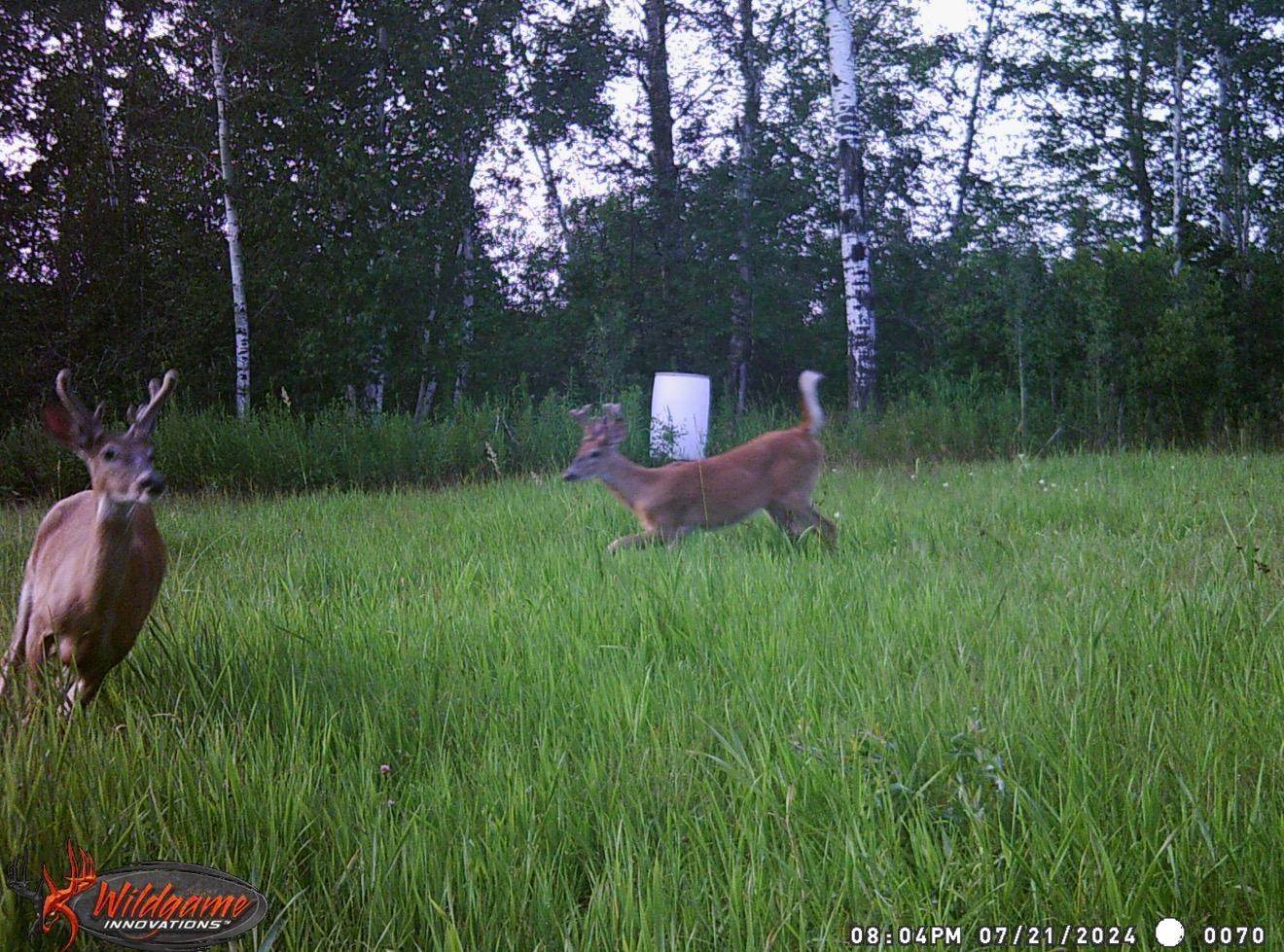 TBD Silver Creek Rd., Kettle River, MN 55757