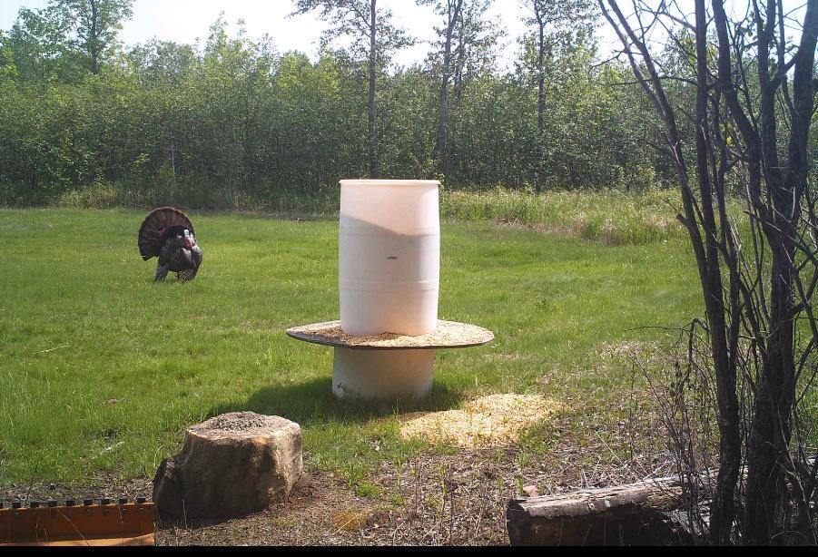 TBD Silver Creek Rd., Kettle River, MN 55757