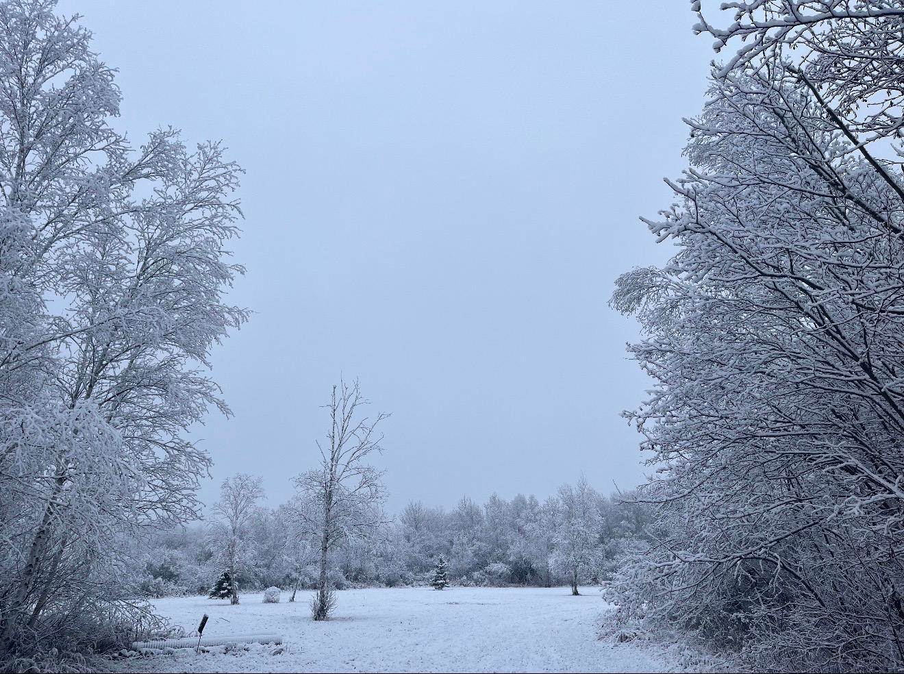 TBD Silver Creek Rd., Kettle River, MN 55757