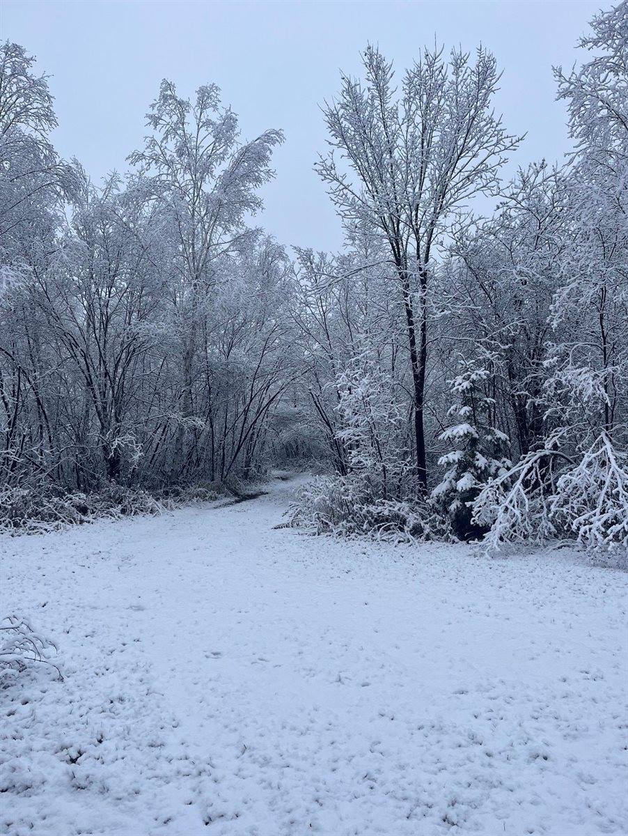 TBD Silver Creek Rd., Kettle River, MN 55757