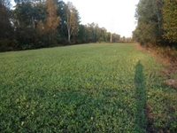 TBD Silver Creek Rd., Kettle River, MN 55757