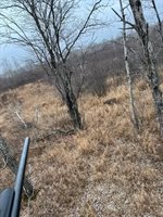 TBD Silver Creek Rd., Kettle River, MN 55757