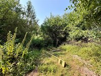 TBD Silver Creek Rd., Kettle River, MN 55757
