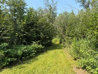 TBD Silver Creek Rd., Kettle River, MN 55757