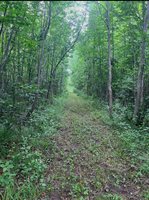TBD Silver Creek Rd., Kettle River, MN 55757