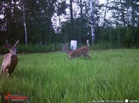 TBD Silver Creek Rd., Kettle River, MN 55757