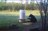 TBD Silver Creek Rd., Kettle River, MN 55757