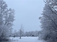 TBD Silver Creek Rd., Kettle River, MN 55757