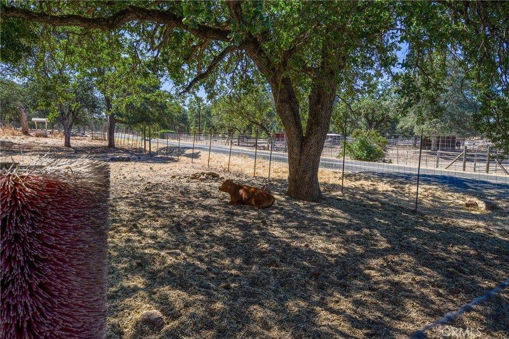20766 Yankee Valley, Hidden Valley Lake, CA 95467
