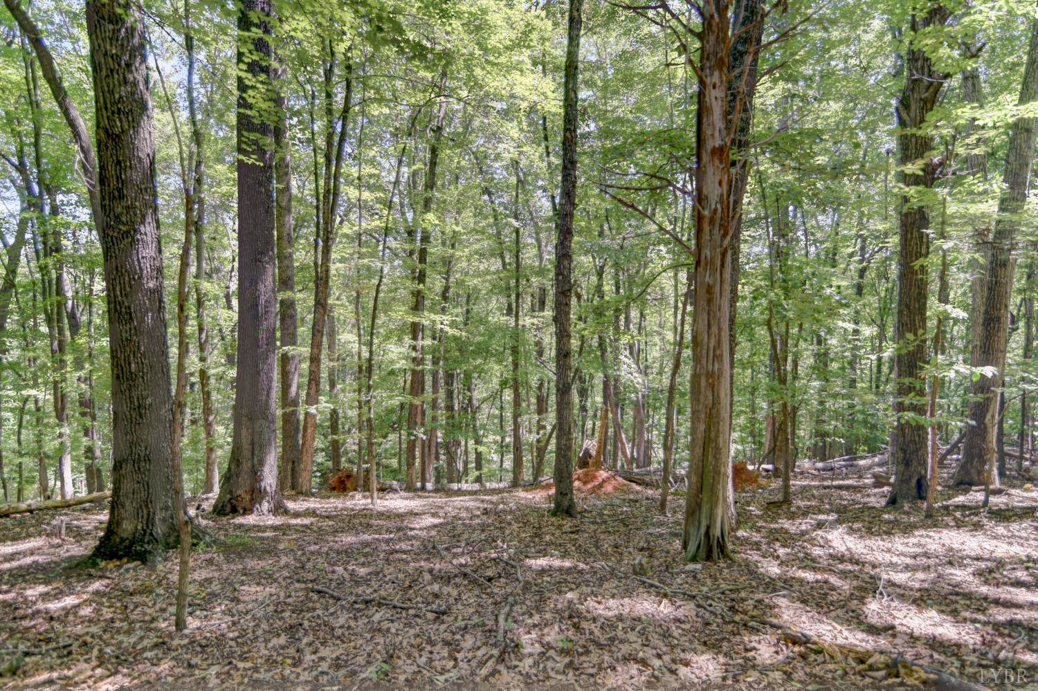 5154 Truman Hill Road, Hardy, VA 24101