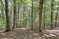5154 Truman Hill Road, Hardy, VA 24101
