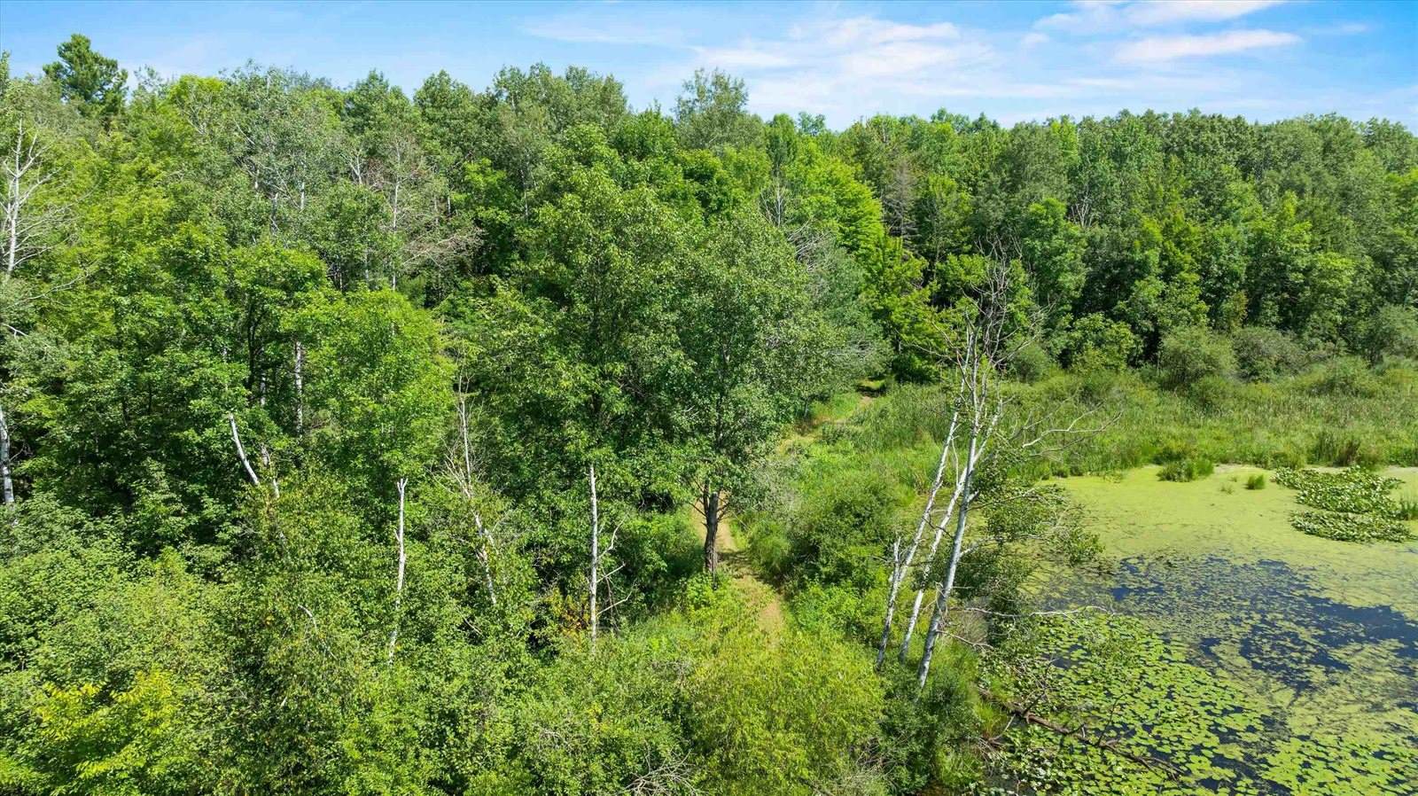 104097 State Highway 153, Spencer, WI 54479