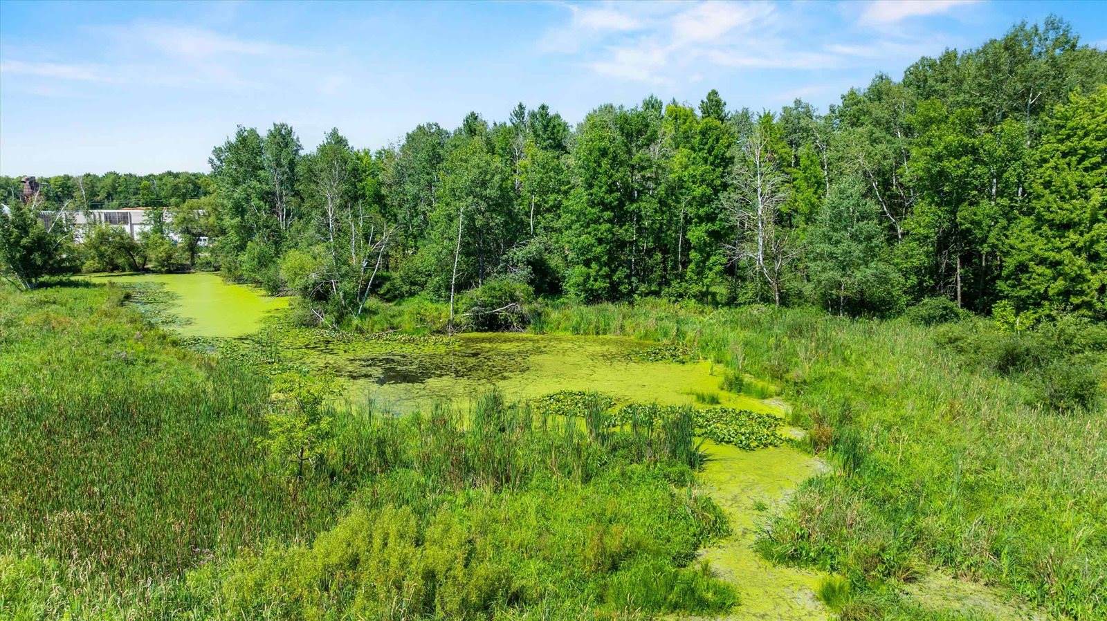 104097 State Highway 153, Spencer, WI 54479