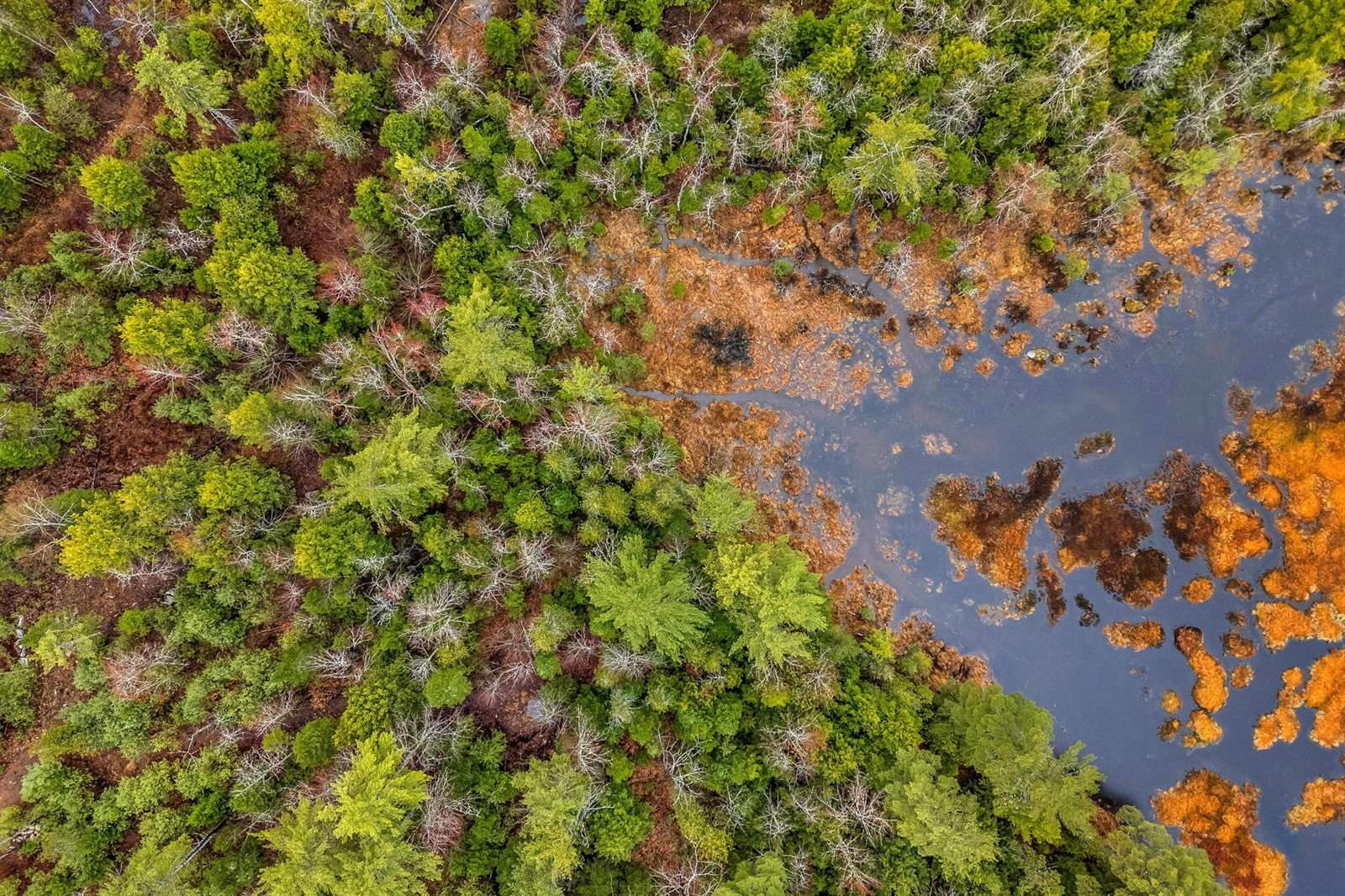 290 White Point Estates Road, Lincoln, ME 04457