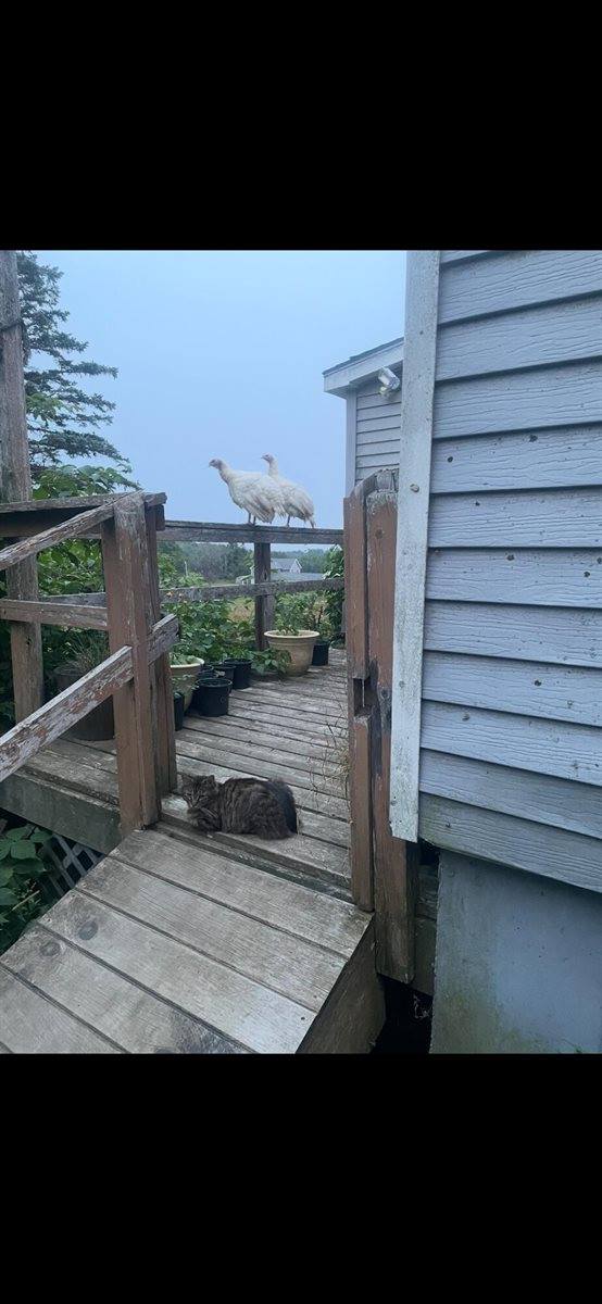 111 Thomas Hill Road, Lee, ME 04455