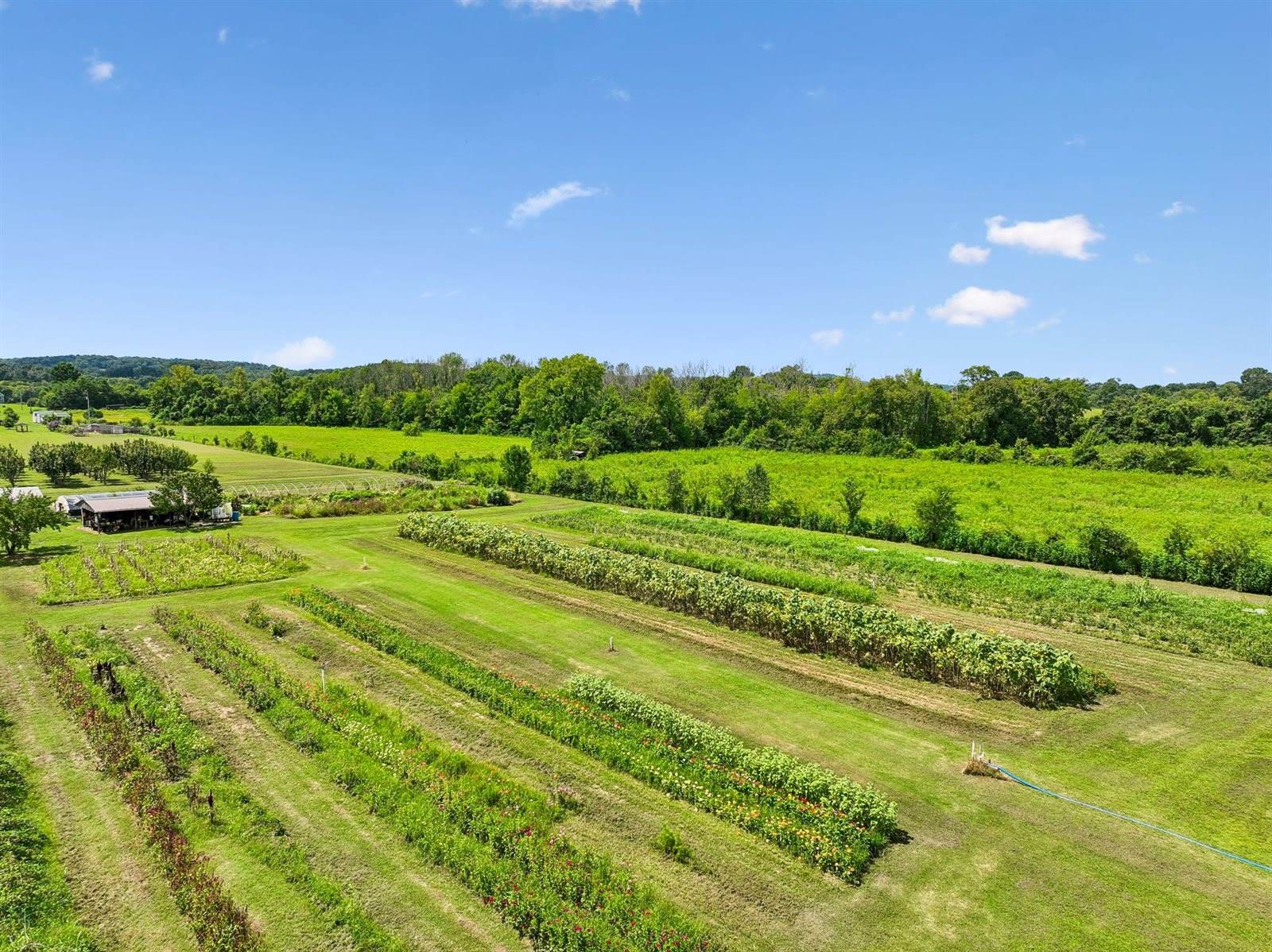 475 Edwards Rd, Lebanon, TN 37090