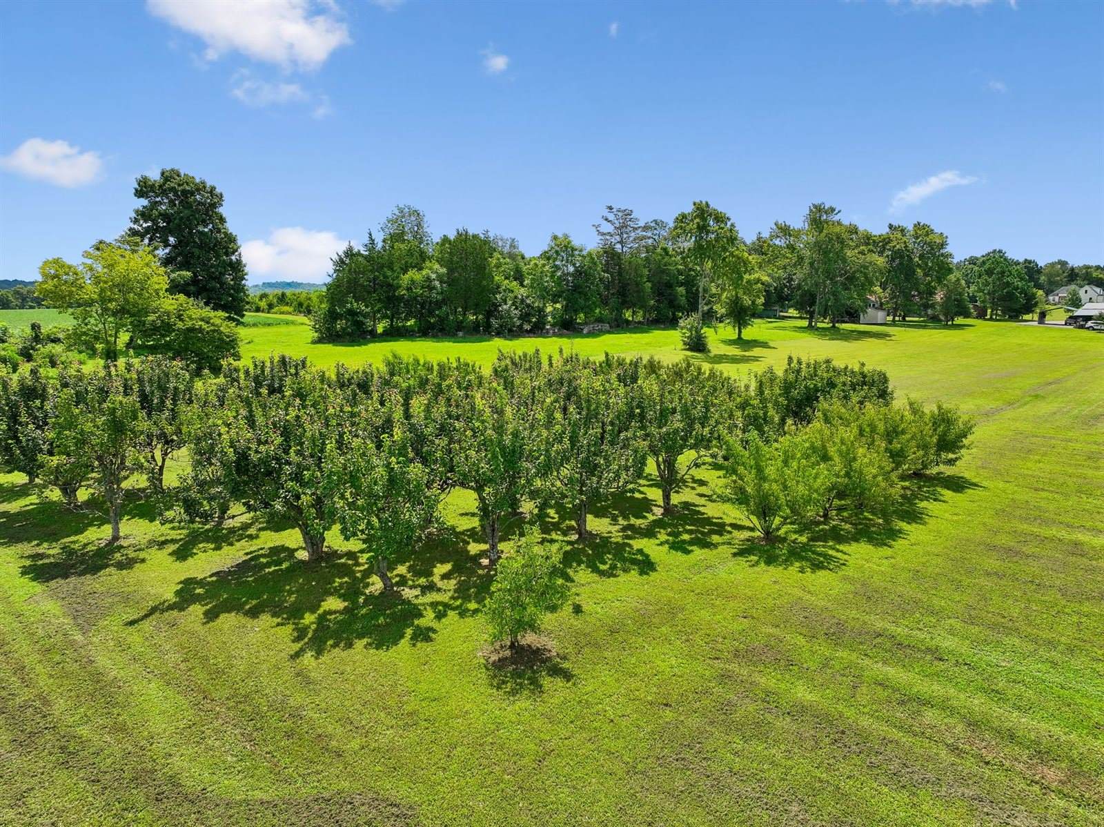 475 Edwards Rd, Lebanon, TN 37090